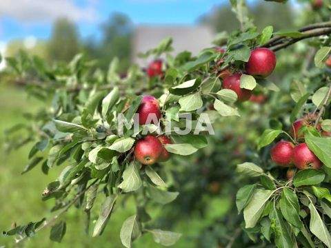 Talsi Häuser, Talsi Haus kaufen