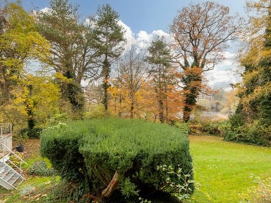 Gemeinschaftsgarten
