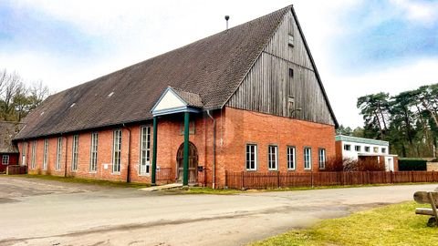 Liebenau Halle, Liebenau Hallenfläche