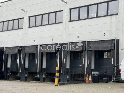 Essen Halle, Essen Hallenfläche