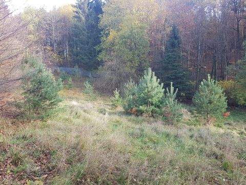 Puschendorf Grundstücke, Puschendorf Grundstück kaufen