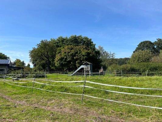 **Weiden/Außenbereich