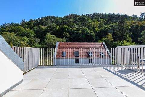 Bisamberg Wohnungen, Bisamberg Wohnung kaufen