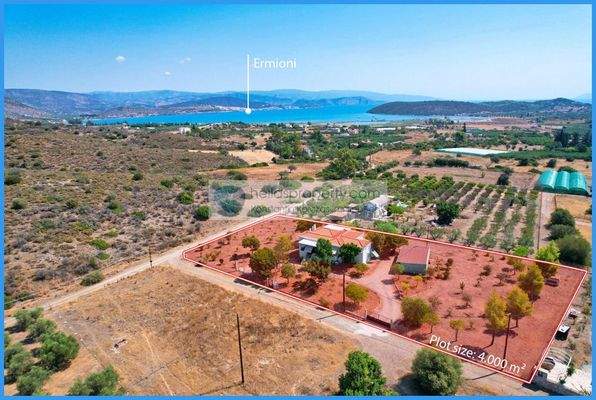 e40c057fb9ac4af082ecf27f61459f12-original