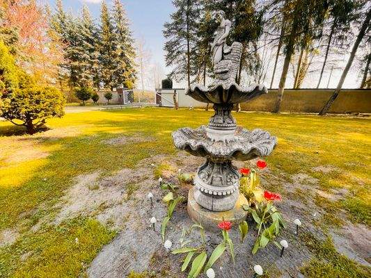 Blick in Richtung Gartenbereich