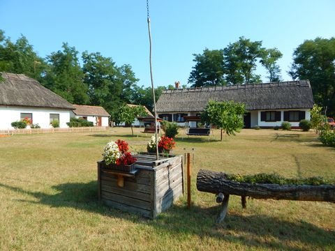 Lajosmizse Bauernhöfe, Landwirtschaft, Lajosmizse Forstwirtschaft