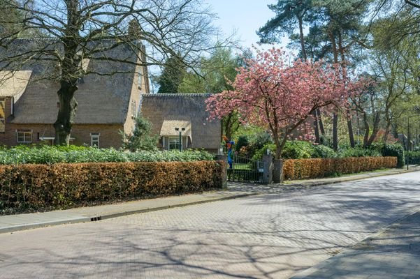 Bild 61