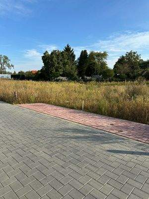 WhatsApp Image 2025-09-11 at 12.13.14