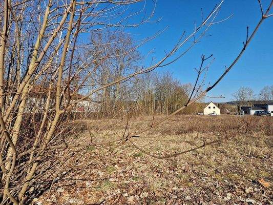 Neustadt  Grundstück.jpg