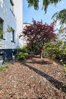 Begrünung vor dem Haus