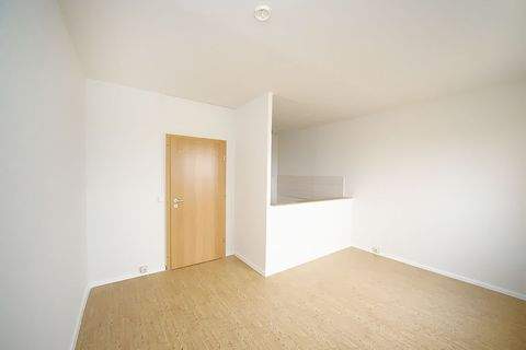 Eisleben Wohnungen, Eisleben Wohnung mieten