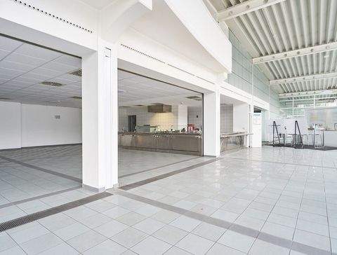 Buxtehude Halle, Buxtehude Hallenfläche