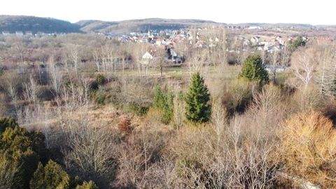 Quedlinburg  OT Gernrode Grundstücke, Quedlinburg  OT Gernrode Grundstück kaufen