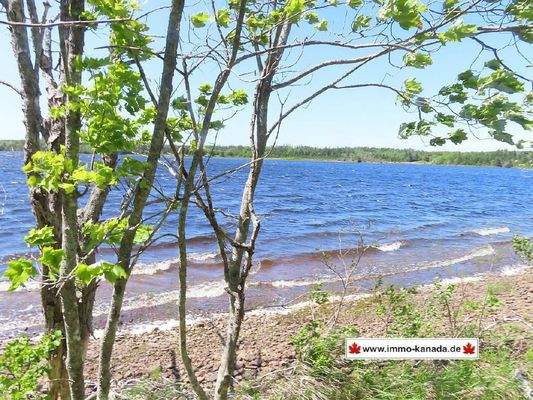 Cape Breton - Ideal für´s Kapital - Einzigartiges 