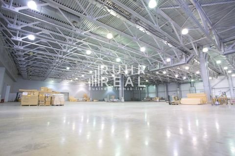 Bielefeld Halle, Bielefeld Hallenfläche