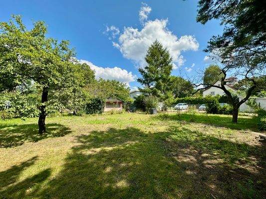 Seitenansicht links vorn