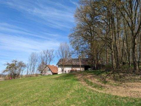 Sankt Andrä-Höch Bauernhöfe, Landwirtschaft, Sankt Andrä-Höch Forstwirtschaft