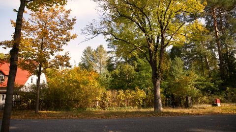 Eichwalde Grundstücke, Eichwalde Grundstück kaufen