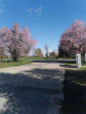 Willkommen in Günterberg!