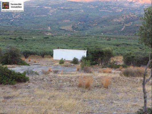 Olivenhain 25.000m² mit kleinem Haus