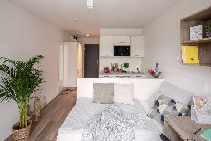 LIVE FULLY: Student ... - Vermietung Komfortwohnungen, Penthouse