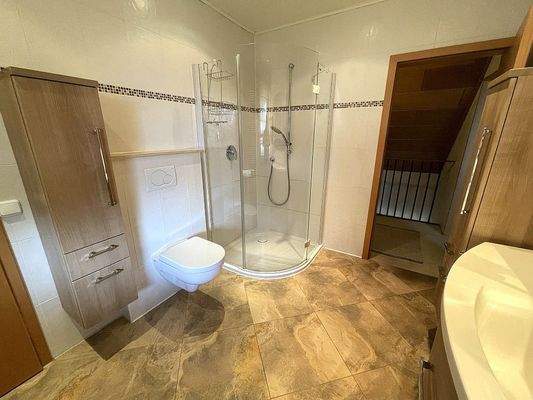 Badezimmer Hauptwohnung