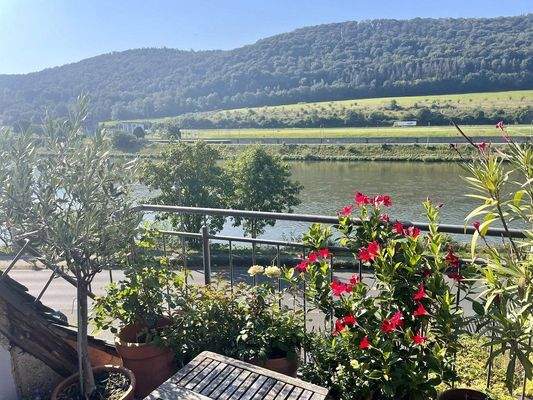 im Sommer eine grüne Dachterrasse mit Moselblick 