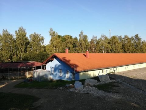 Eggendorf im Traunkreis Bauernhöfe, Landwirtschaft, Eggendorf im Traunkreis Forstwirtschaft