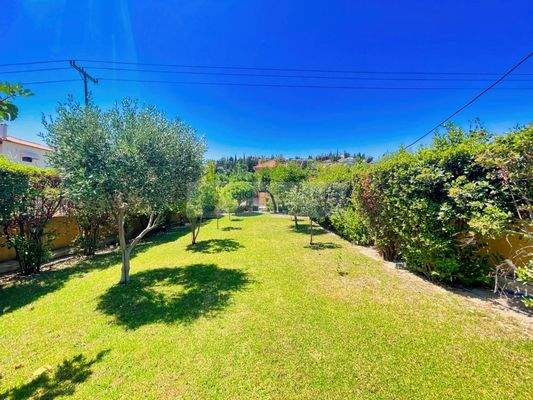 img_357afa44-4ffa-4187-b067-21a08893d3d2