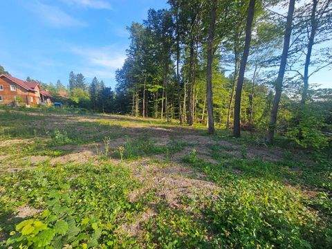 Altlengbach Grundstücke, Altlengbach Grundstück kaufen