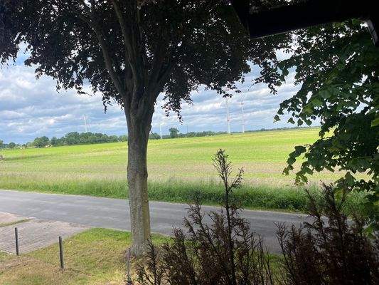 Aussicht_von_Haustür