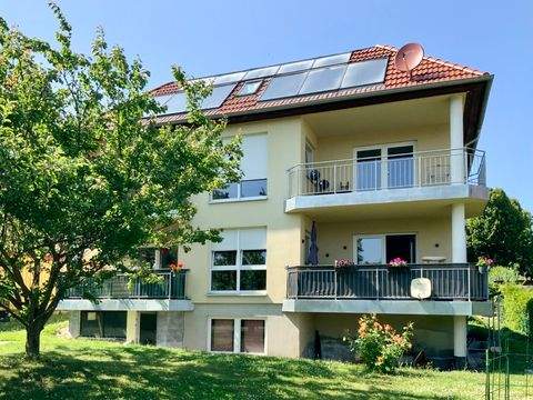 Halle Häuser, Halle Haus kaufen