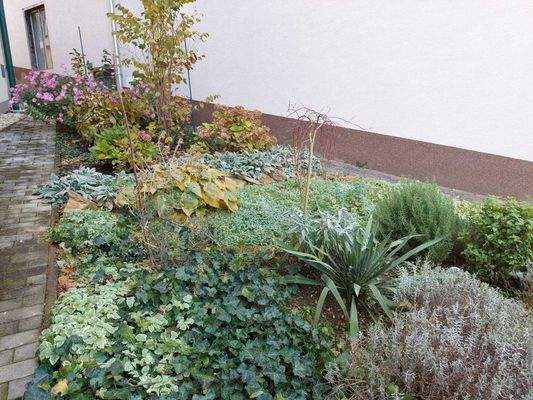 Bild 14