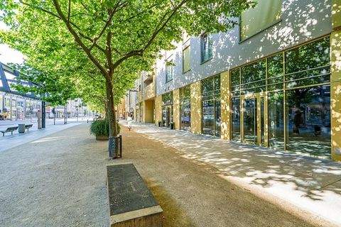 Dresden Ladenlokale, Ladenflächen 