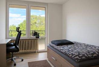 Blumenauer-(c) - Büro