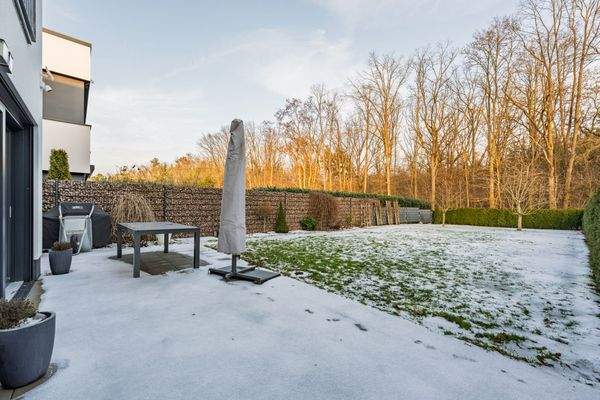 Terrace directly behind the house