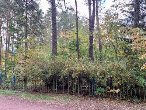 Borkheide Grundstücke, Borkheide Grundstück kaufen