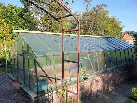 Garten mit Gewächshaus