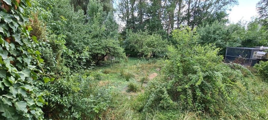 Blick in den Garten