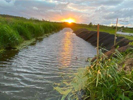 Graben am Grundstück