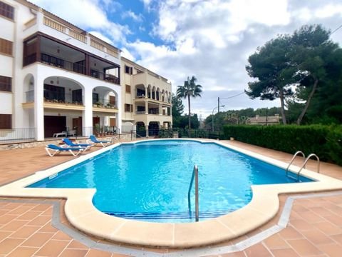 Cala Ratjada Wohnungen, Cala Ratjada Wohnung mieten