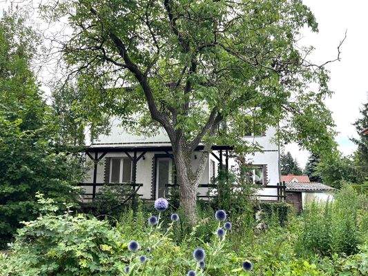 Hausansicht Garten.jpeg