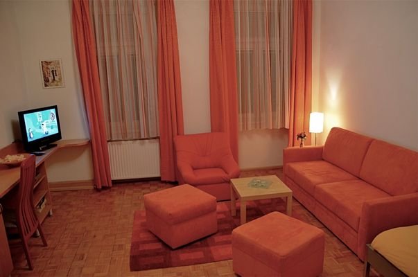 Wohn-/Schlafzimmer 2
