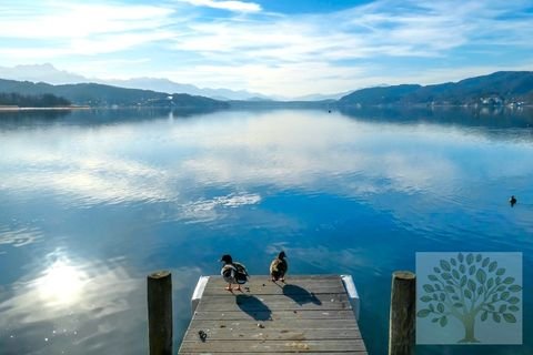 Velden am Wörthersee Wohnungen, Velden am Wörthersee Wohnung mieten