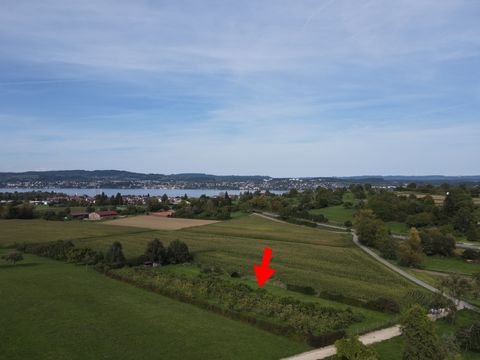 Konstanz-Dingelsdorf Bauernhöfe, Landwirtschaft, Konstanz-Dingelsdorf Forstwirtschaft