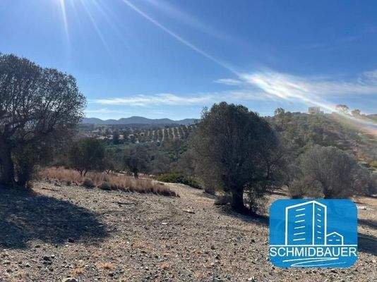 Kreta, Pitsidia: Grundstück mit Baugenehmigung für drei Luxusvillen zu verkaufen