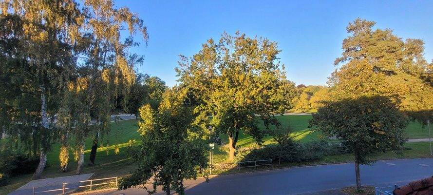 Blick in den Park