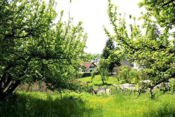 Ausblick ins Illertal