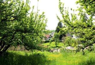 Ausblick ins Illertal