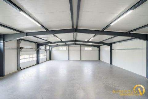 Biburg Halle, Biburg Hallenfläche